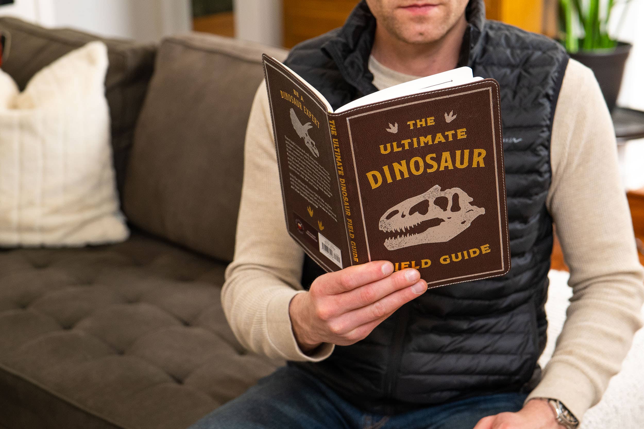 HarperCollins Focus - Wholesale Reference - Ultimate Dinosaur Field Guide Illustrated by Csotonyi7