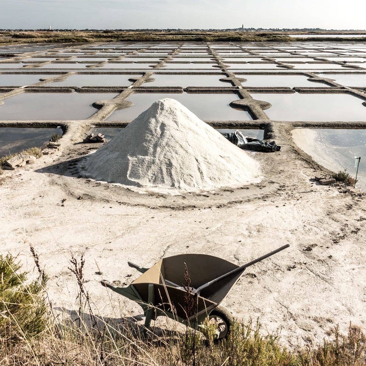 Lady Joseph – Crackers por atacado – Bolachas com Sal Marinho da Bretanha e Azeite (lanche de bolachas)8