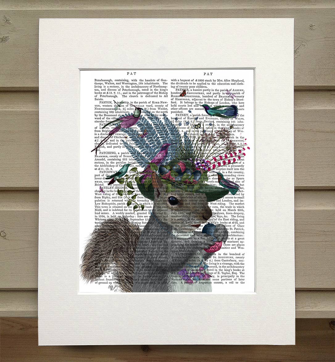 FabFunky Ltd - Wholesale Art Print - Squirrel Birdkeeper and Blue Acorns, Book Print / Art Print0