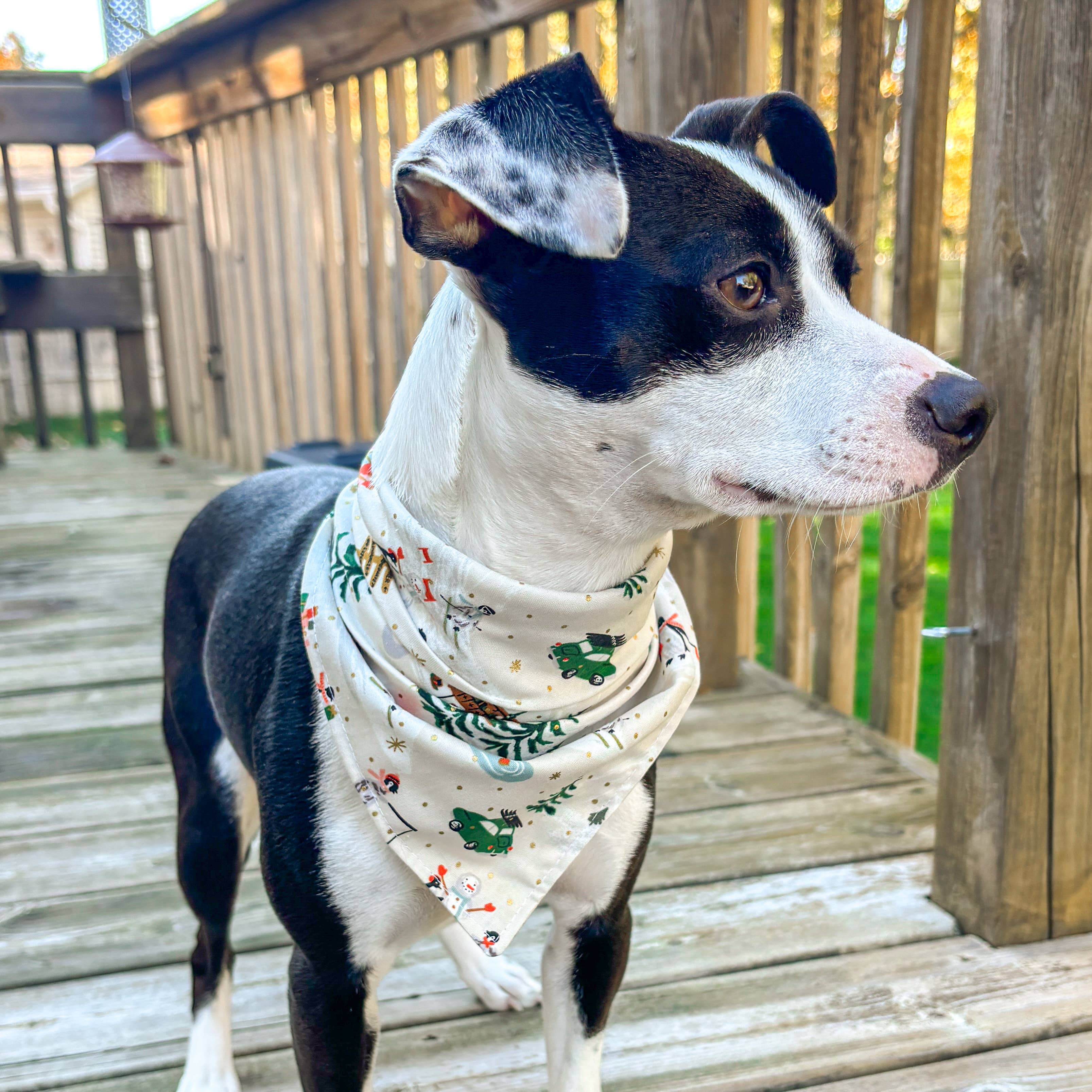 Cream Après Ski Dog Bandana | Penguin Mountain Winter Holiday Pet for wholesale on Faire1