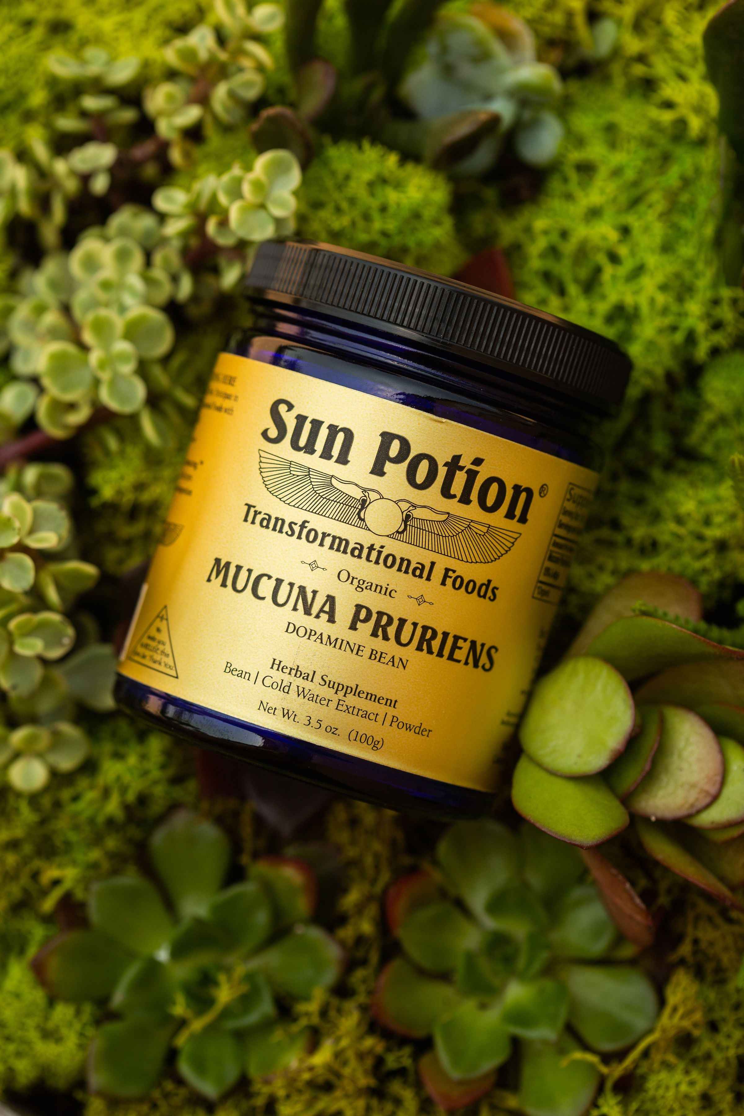 Sun Potion - Wholesale Protein/Superfood Powder - Mucuna Pruriens Powder (Organic)1