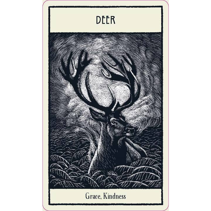 Red Wheel/Weiser LLC - Wholesale Tarot Cards - Untamed Spirit Animal Oracle6