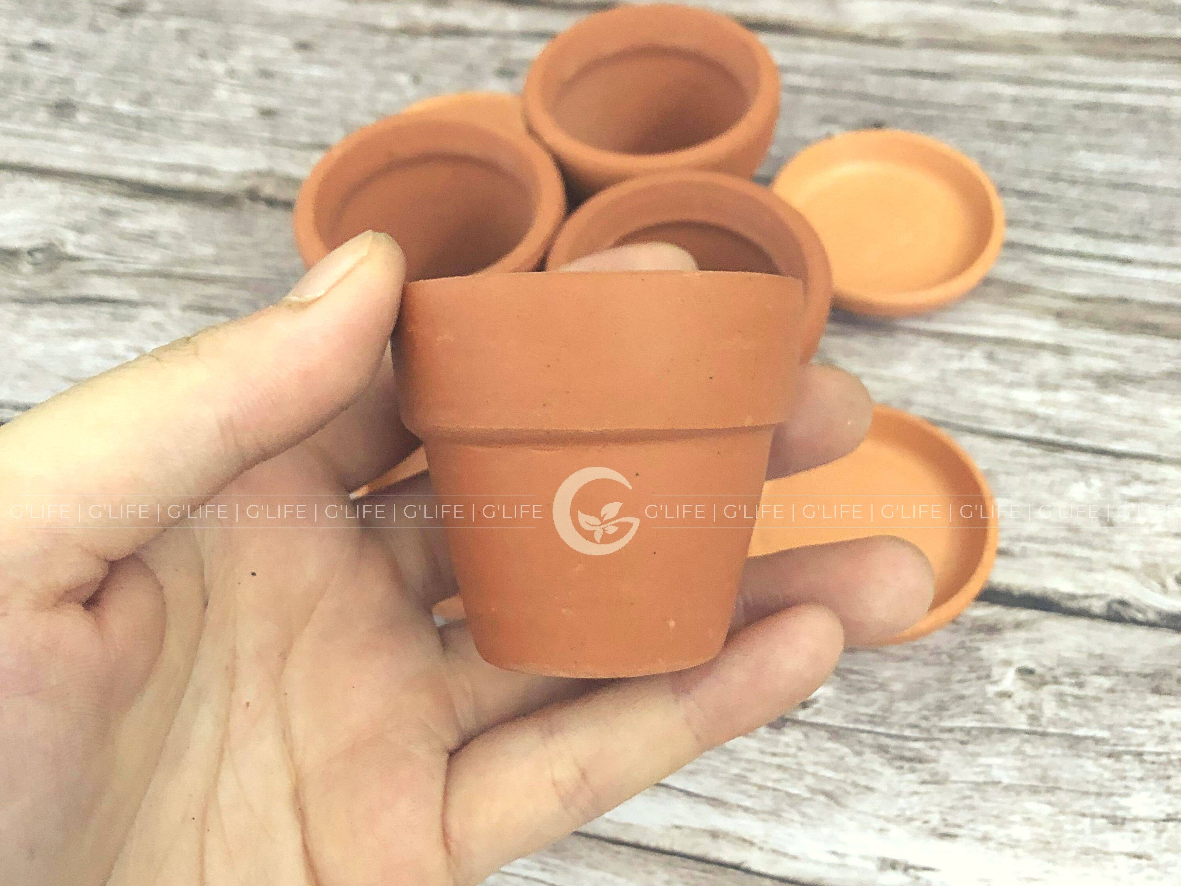 GLifee - Wholesale Plant Pot - 2" Tiny Terracotta Clay Plant Flower Pot - Drainage Hole5