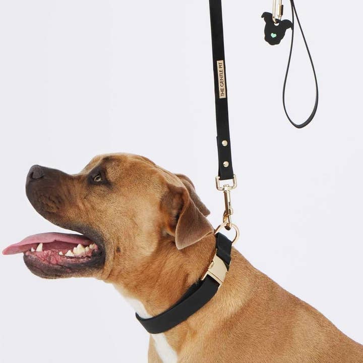 TGP Luxe Dog Collar for wholesale by The Gentle Pit