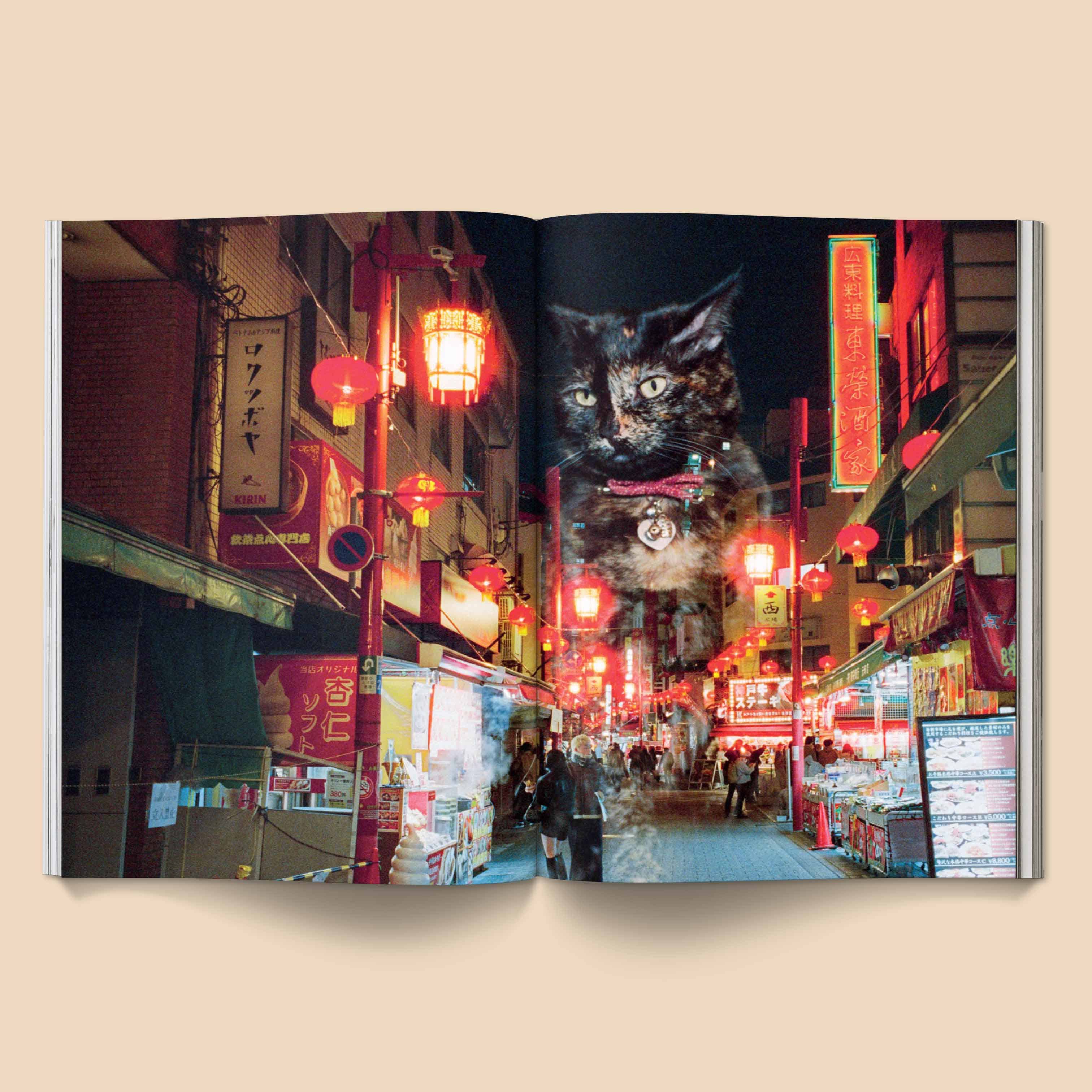 Broccoli - Wholesale Magazine - Catnip Magazine6