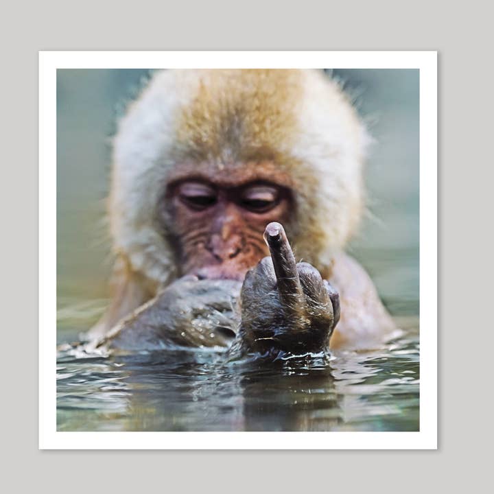 Digitus Medius Greeting Card for wholesale by Icon