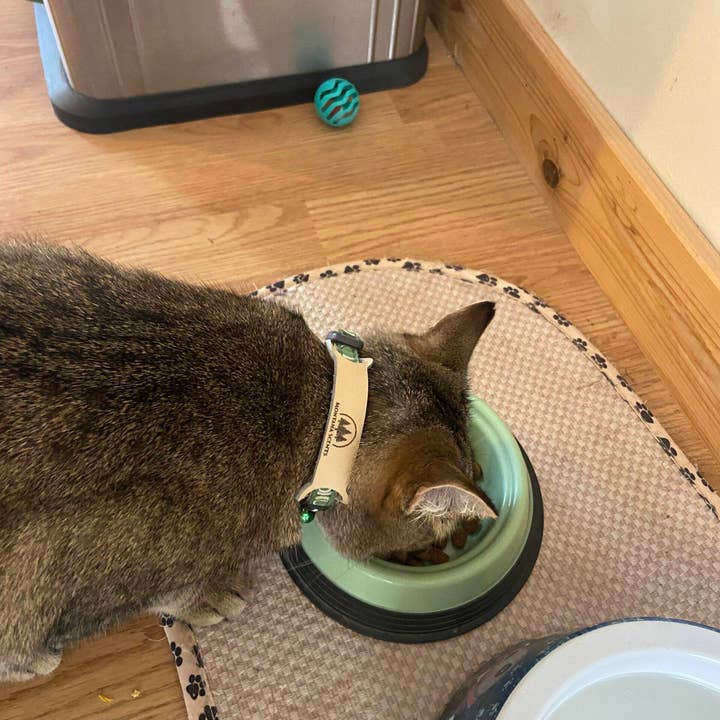 Pet Calming Collars for wholesale by Montana Scents