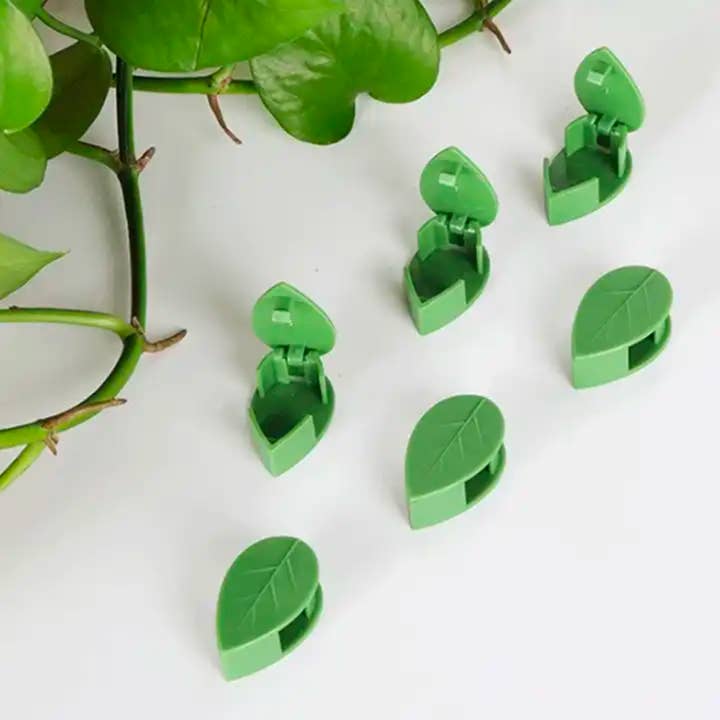 Moderny - Wholesale Wall Accent - Vine Plant Wall Clips3
