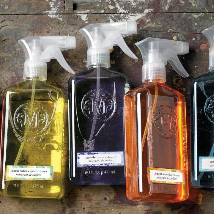 Boston International - Wholesale Multi-Surface Cleaner - Clementine Surface Cleaner by Mangiacotti, 14.4oz plant base1