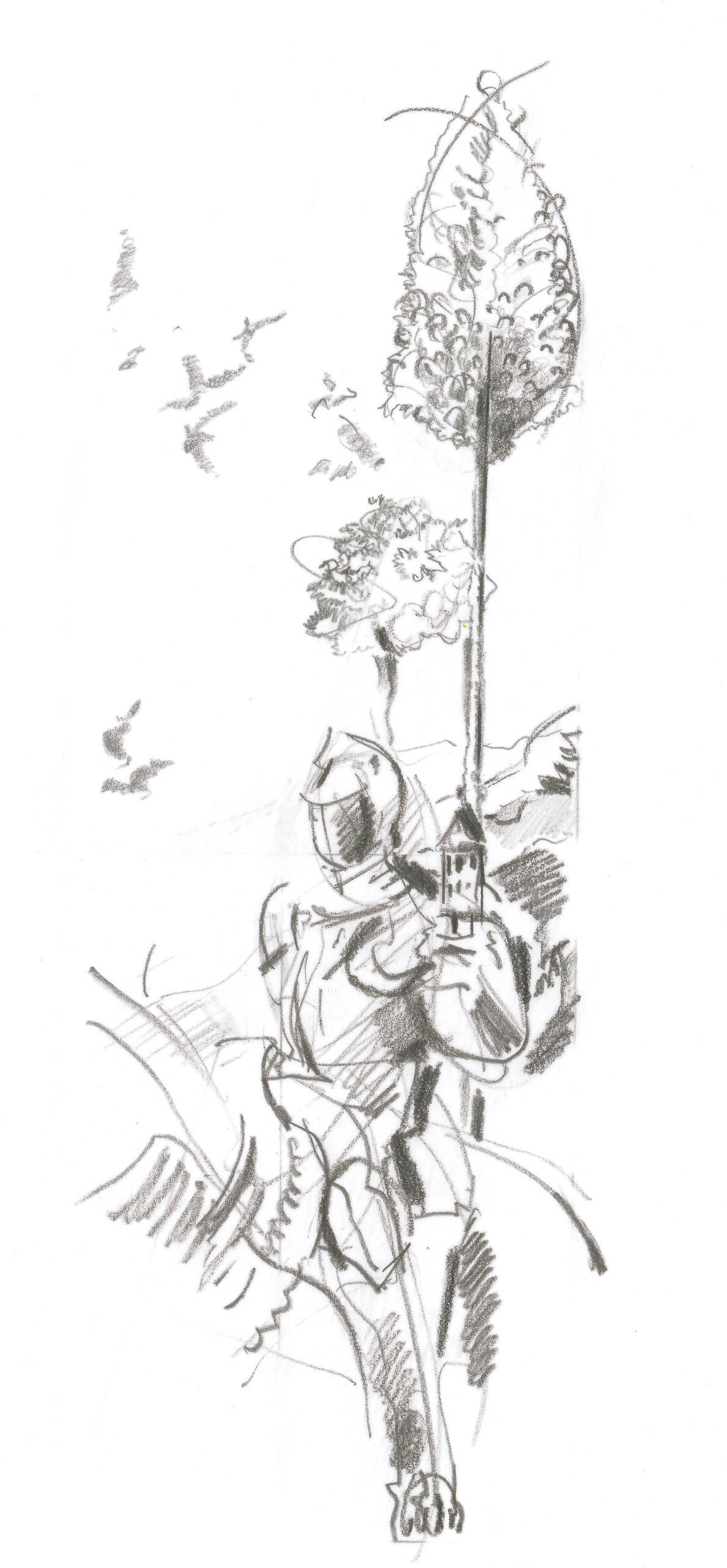 West Design Products UK – wholesale Pencil – Faber-Castell Castell 9000 Graphite Pencil, Pencil, 2H5