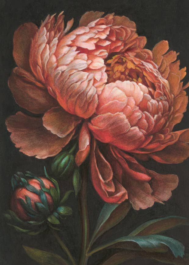 Bomo Art Budapest - Wholesale Everyday Greeting Card - Greeting Card + Envelope90