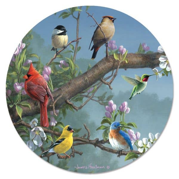 Glass Lazy Susan - Beautiful Songbirds for wholesale by CounterArt/Highland Home/Thirstystone/CoasterStone