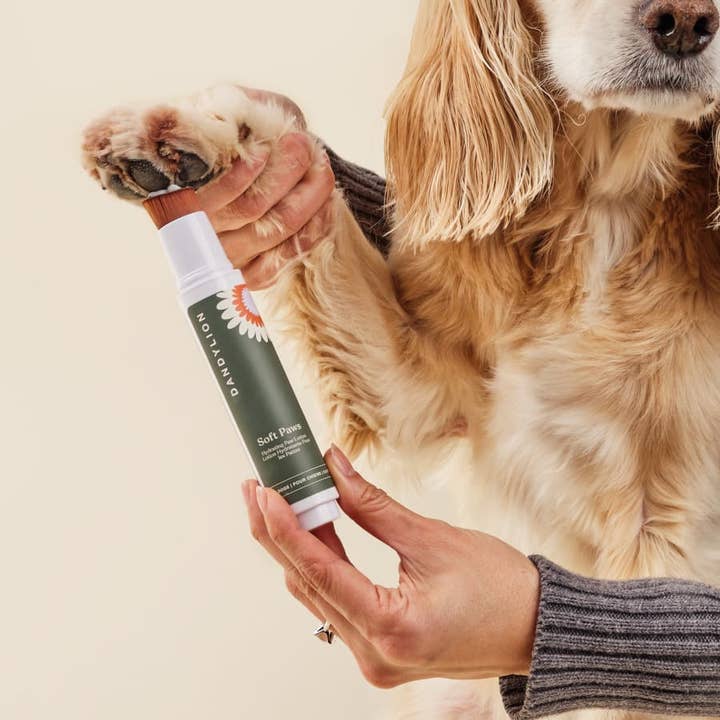 Dandylion - Wholesale Pet Balm - Dog - Soft Paws Hydrating Paw Lotion