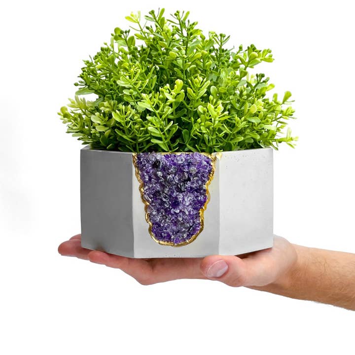 Grote amethist Geode Plantenbak, Luchtplanthouder Succulente Pot voor wholesale door Planters Made in the USA