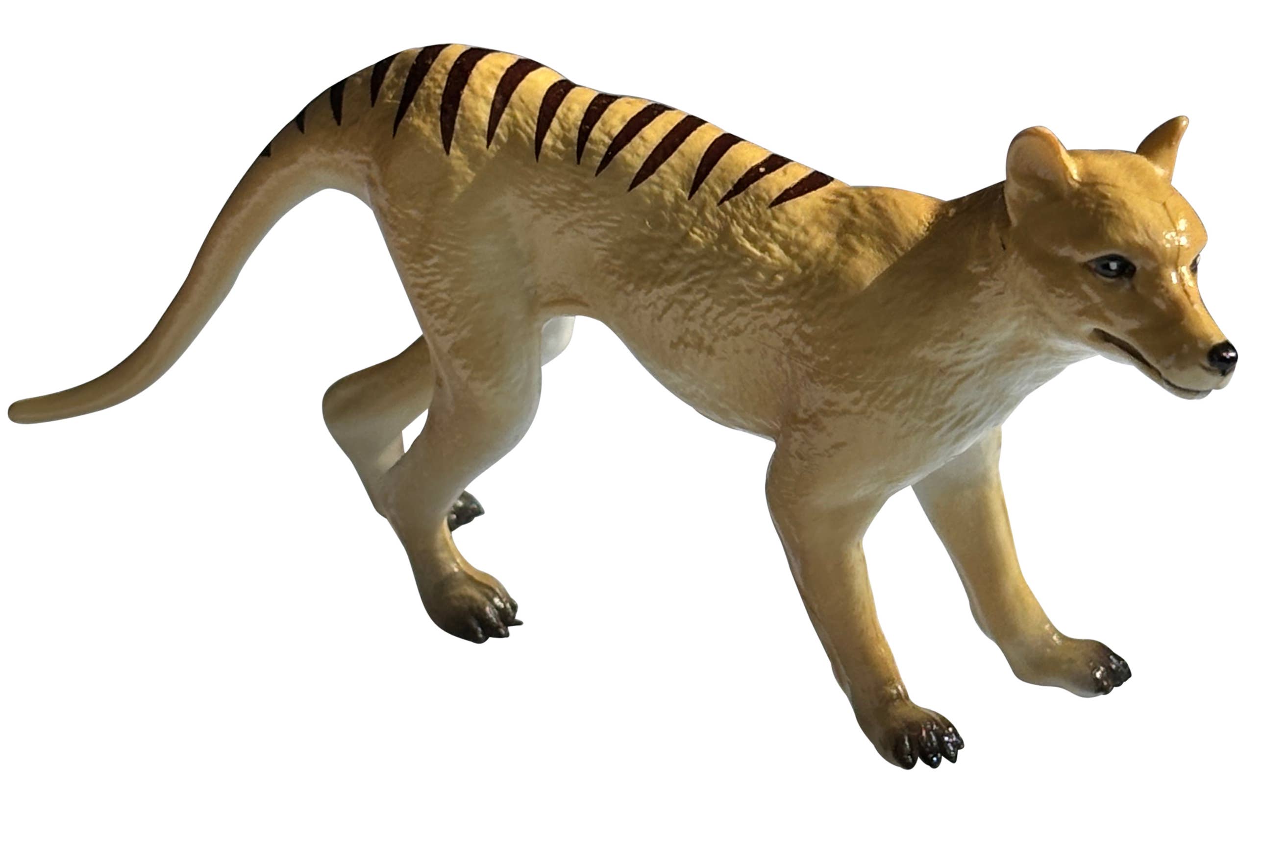 Science and Nature – wholesale Figurine toy – Kids – Thylacine Replica (Pack of 10)0