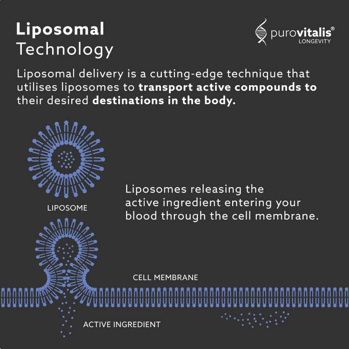 Purovitalis - Wholesale Voedingssupplement/vitamine - Purovitalis Liposomale Spermidine Fusion – 5 mg, 30 capsules4