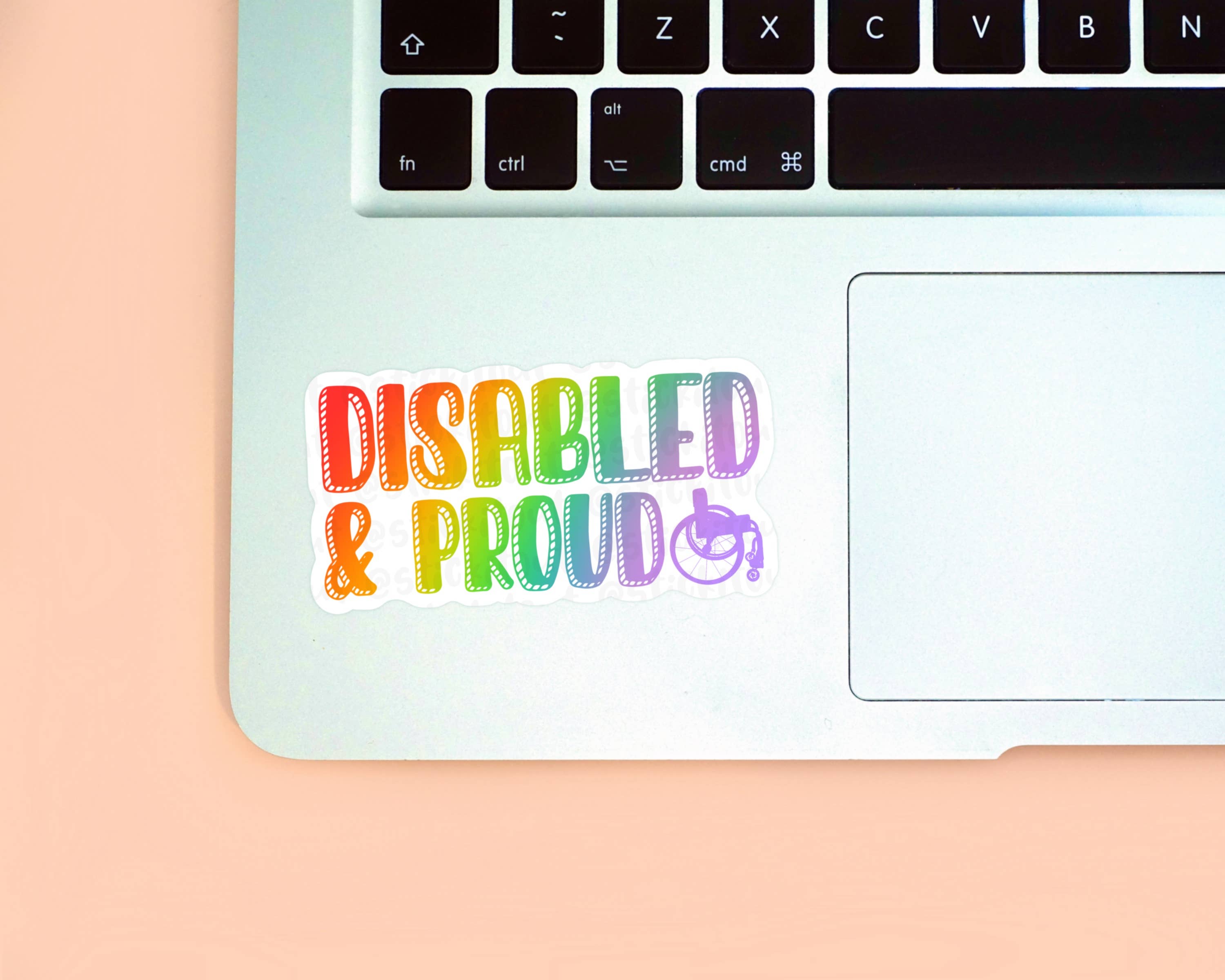Stick It Out - Wholesale Sticker - 'Disabled & Proud' Vinyl Sticker7