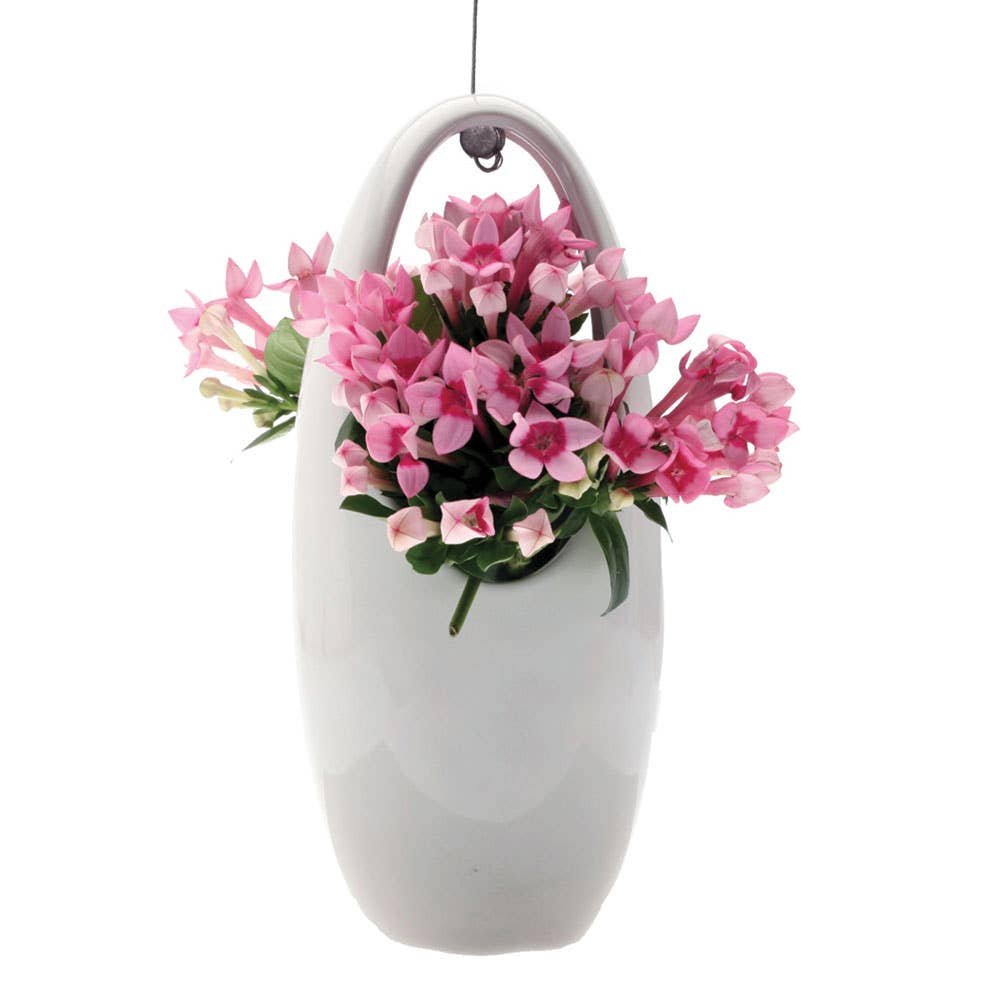 Chive - Vente Jardinière suspendue - Suspension pour plantes grasses6