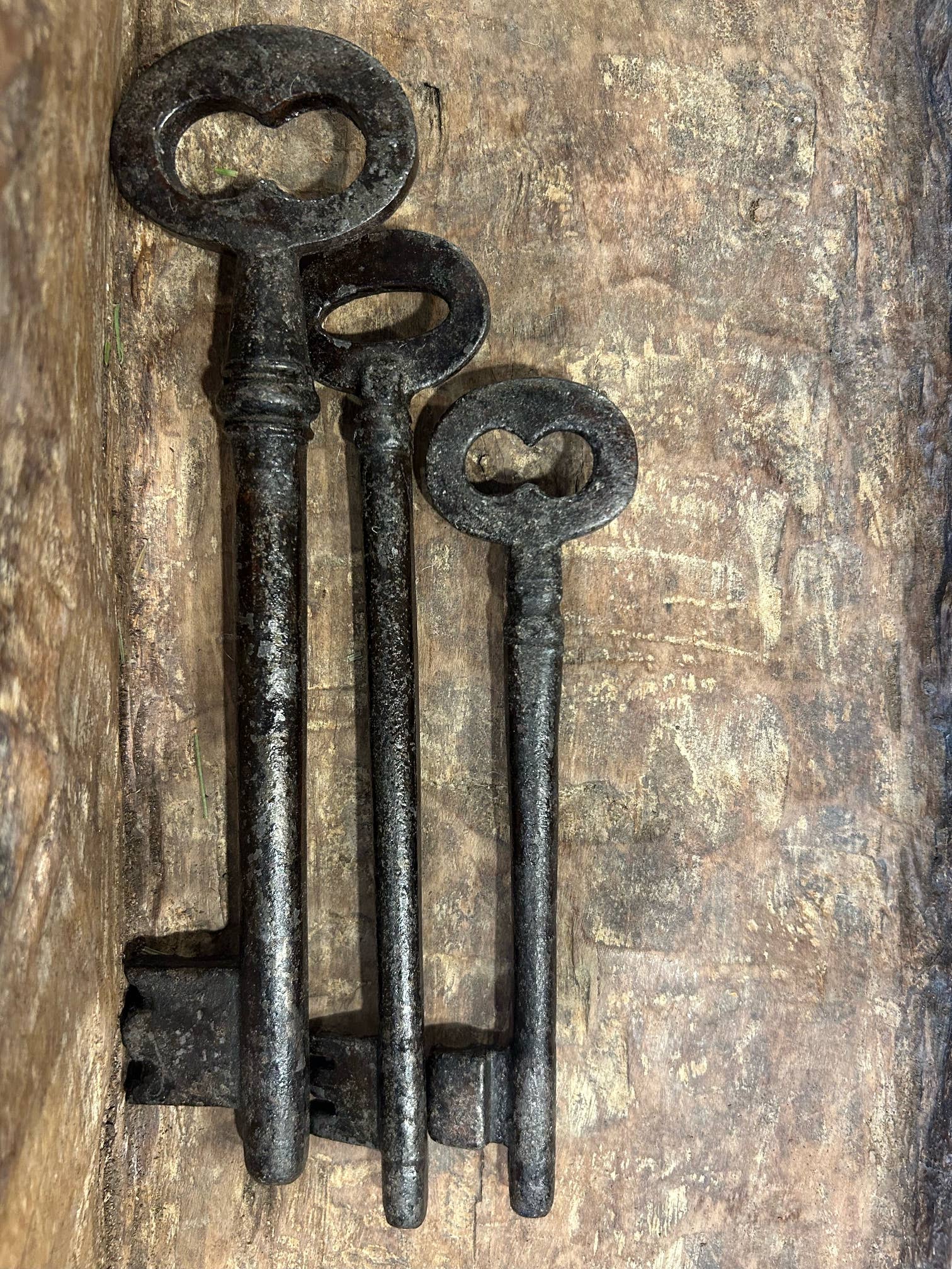 Asia West - Venta al por mayor Artículo decorativo de mesa -  Llaves Skelton de hierro fundido (juego de 3)9