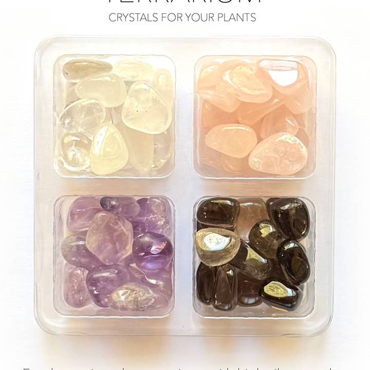 KRYSTALLTERRARIUMKOMPANIONSET - Kristaller för växter för wholesale av Crystal Grids
