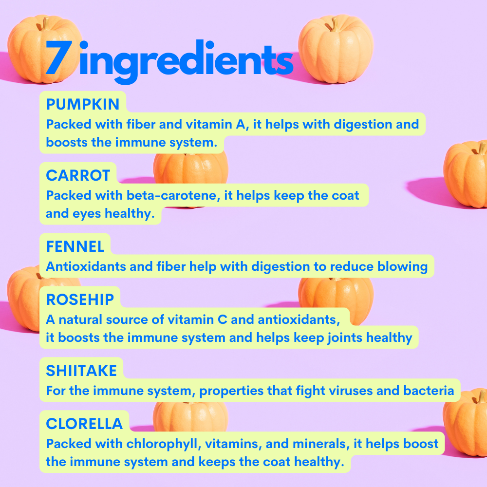 JAMPY – wholesale Pet supplement – Cat/dog – Superfood Green Mix - 100% Natural Vitamin Powder for Dogs4