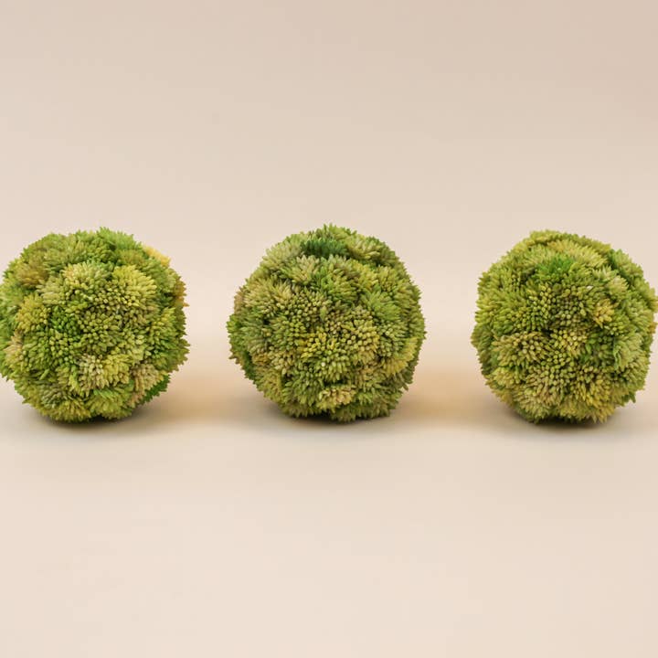 Moss Spheres - Pack of 3 for wholesale by Laurel and Vine Decor LLC