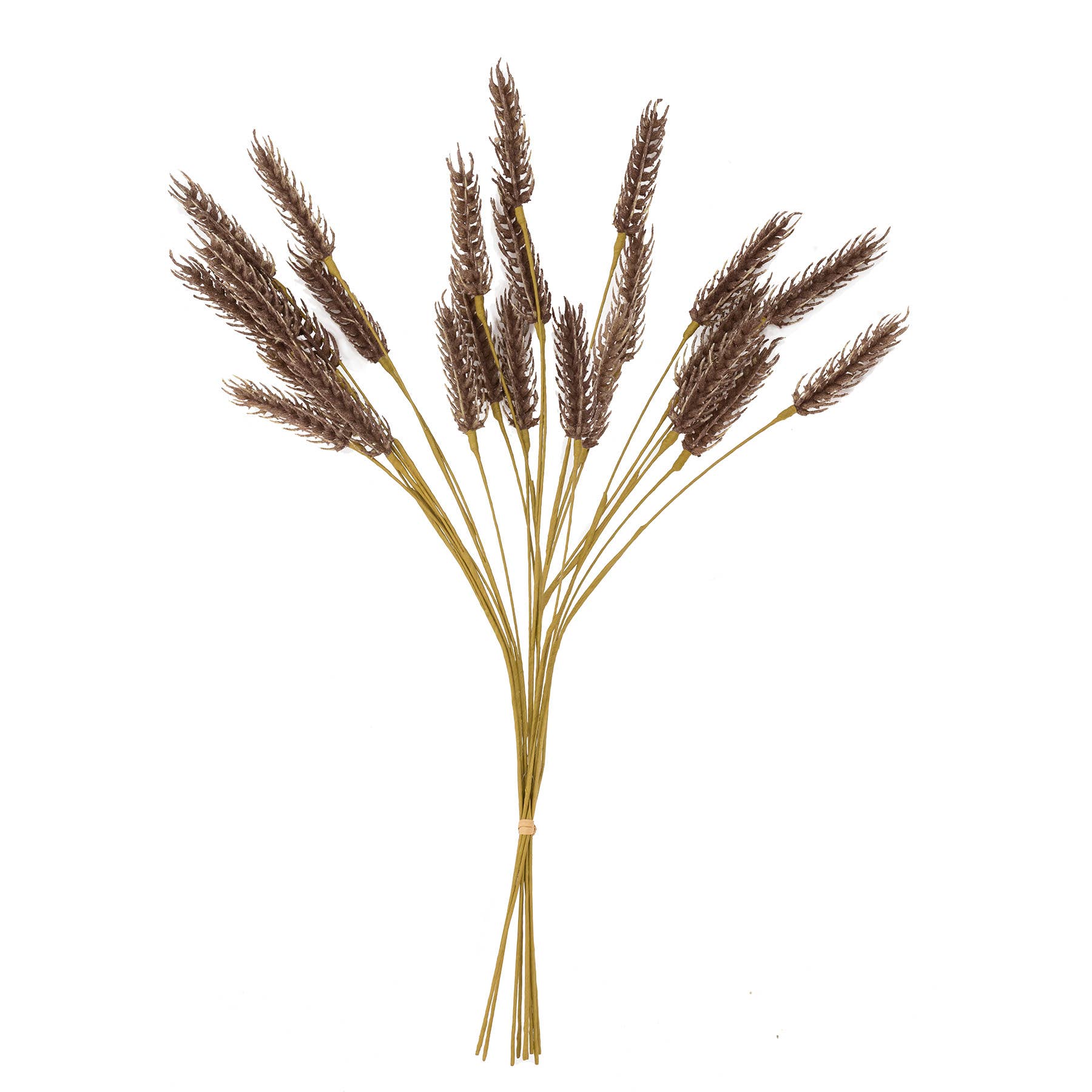 Blossom Bucket & Crossroads Home - Wholesale Dried/Pressed Flowers - Brown Wheat Bloom Bundle0