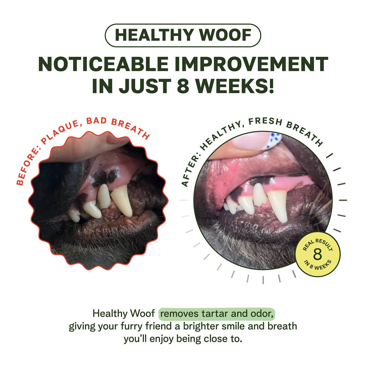 Healthy Woof - Wholesale Pet Supplement - Dog - Healthy Woof Dog Dental Powder for clean teeth – Small size2