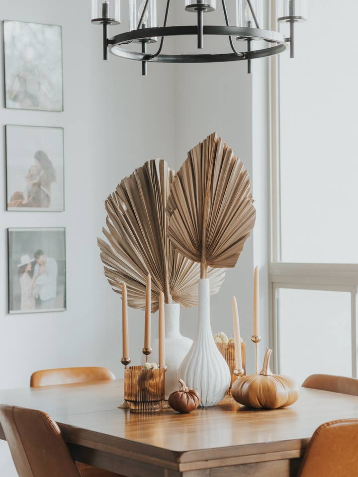 Palm Leaves, Large Dried Trimmed Organic Tropical Dried Fan for wholesale by The Blooming Palm