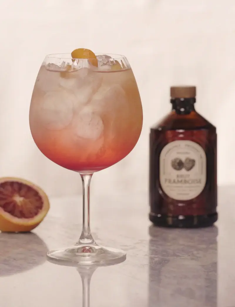 The French Farm - Wholesale Flavored Syrup - Bacanha Organic Raspberry Syrup 13.5oz2