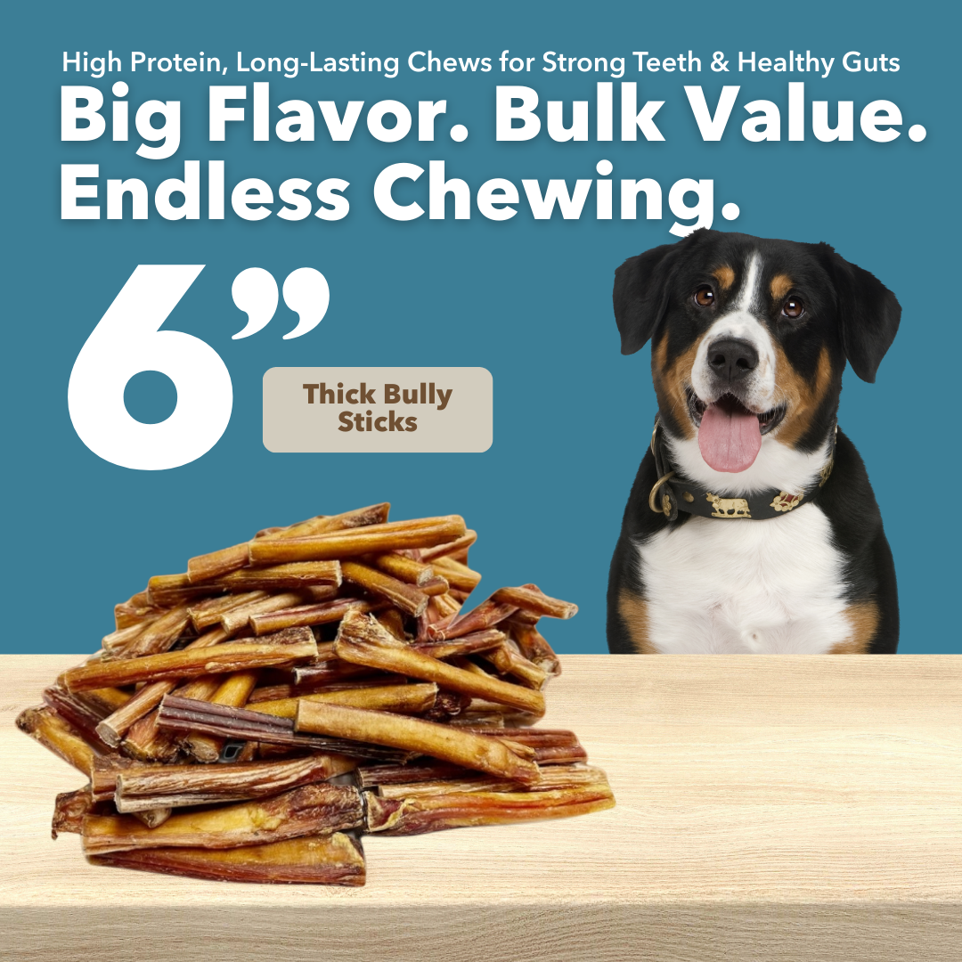 Mighty Chewz - Wholesale Pet Treats - Dog - 6" Thick Bully Sticks $1.70/ Stick (Case Price) 1
