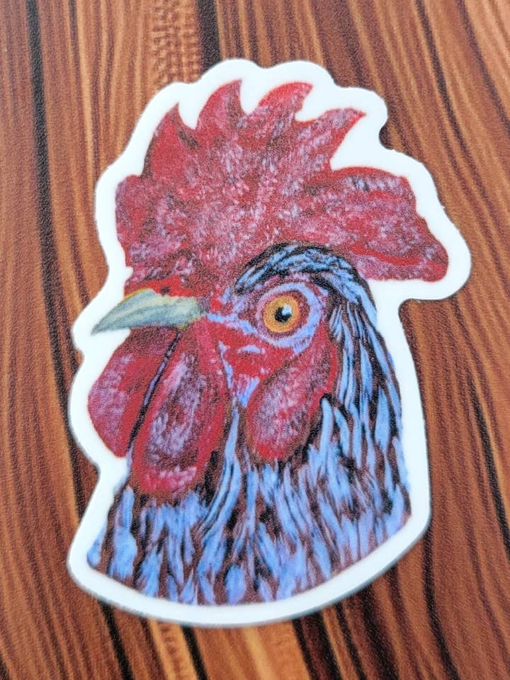 Rooster Sticker for wholesale by Jessica Plesko Art
