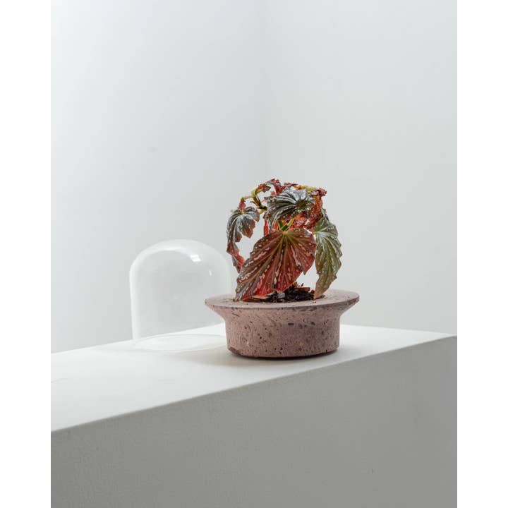 Pietra grigia Fioriera per terrario UFO in vendita all'ingrosso su Faire8