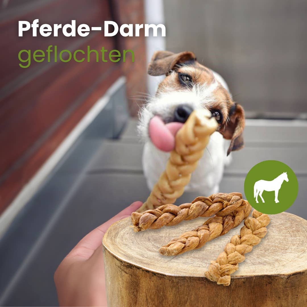Kauartikel.com GmbH – Engroshandel Tyggeben - Hund – Flettet hestetarm uden konserveringsmidler1