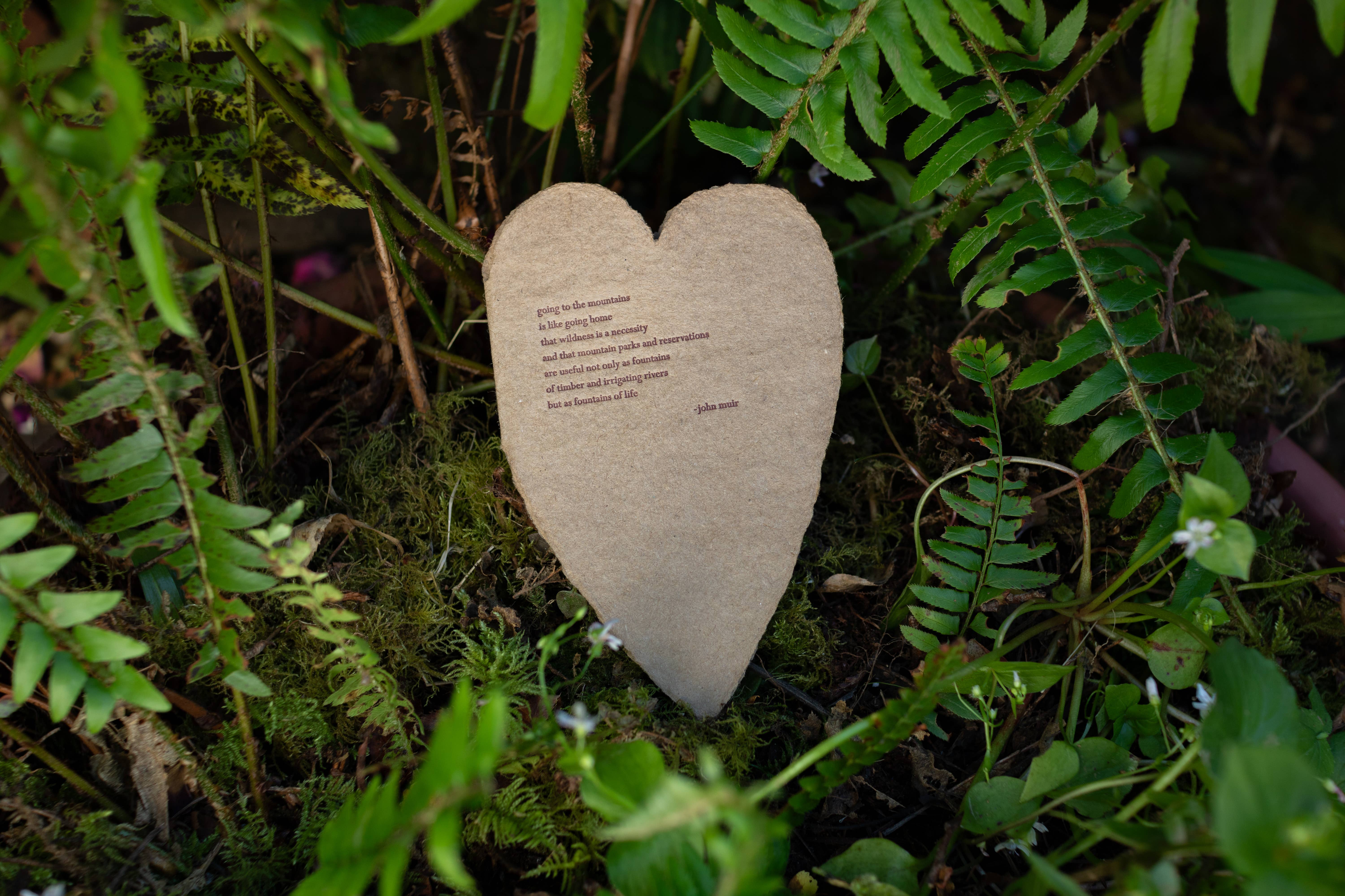 Oblation Papers & Press - Wholesale Love Card - John Muir Quote Heart Kraft Handmade Paper Letterpress Card2