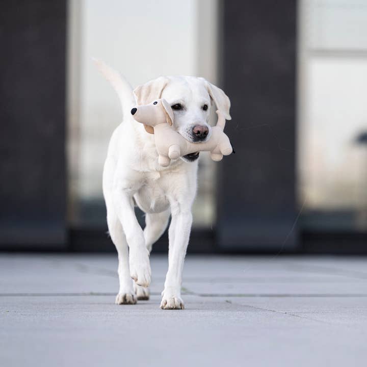 beige Juguete para perros Teckel Pepe de venta al por mayor en Faire