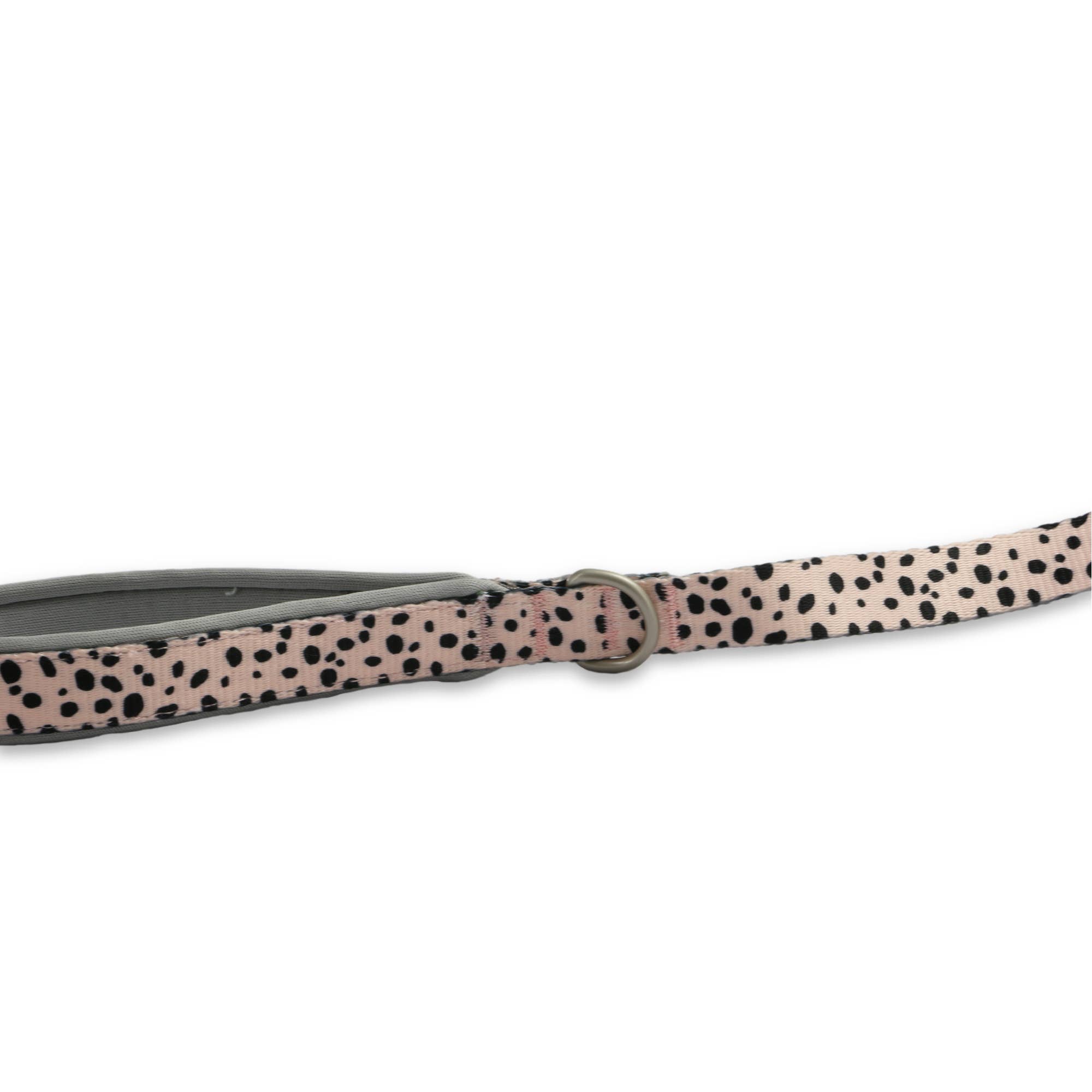 Ancol Pet Products Ltd - Vendita all'ingrosso Guinzaglio - Cani - Ancol Soho, guinzaglio con motivo dalmata, 100 x 1,9 cm2