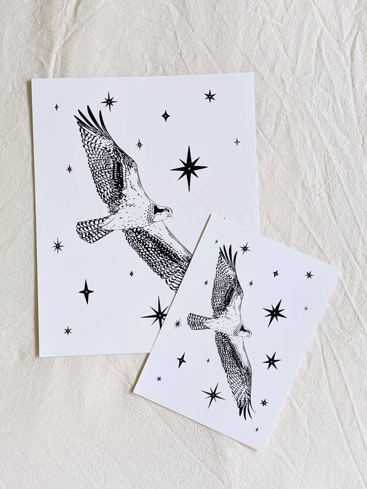 "Celestial Osprey" Illustration Print for wholesale by Moth Folk Studio