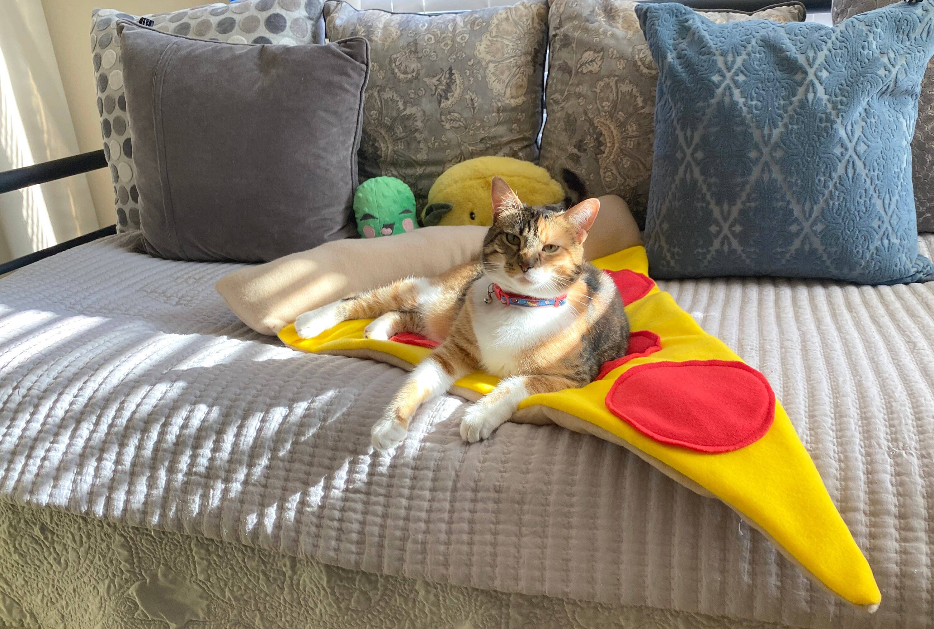 Screaming Pickles - Wholesale Pet Bed - Cat/Dog - Handmade Pet Bed Pizza Slices