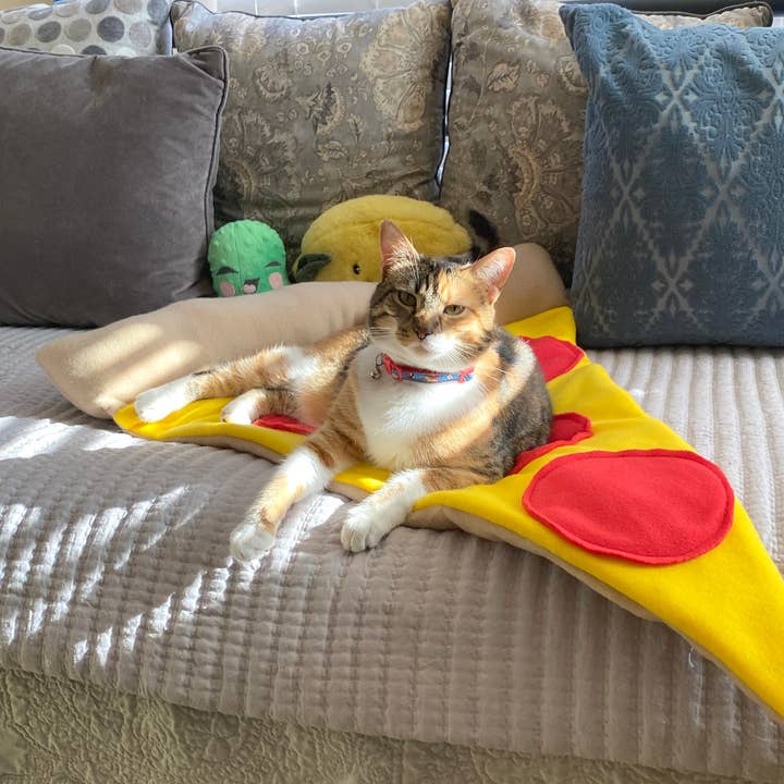 Pizza fatta a mano per cucce per animali domestici e ulteriori Risultati per cucce cani all'ingrosso. Resi gratuiti e termini di pagamento a 60 giorni su Faire in tendenza su Faire.