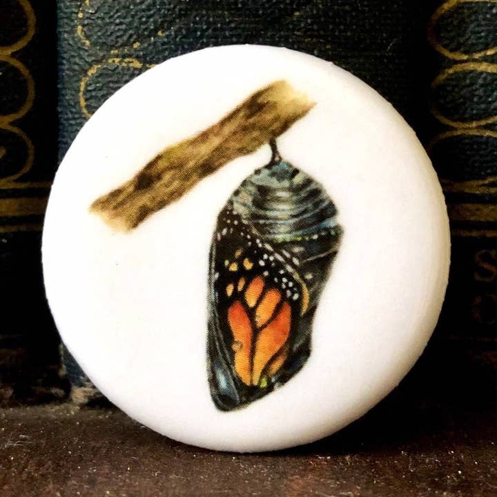 Monarch Butterfly Lebenszyklus Stufen Pinback Button, Cottagecore Pins, Monarch Butterfly Chrysalis Pin Abzeichen, Dark Academia Zubehör für den Großhandel von Kaleigh Day Art
