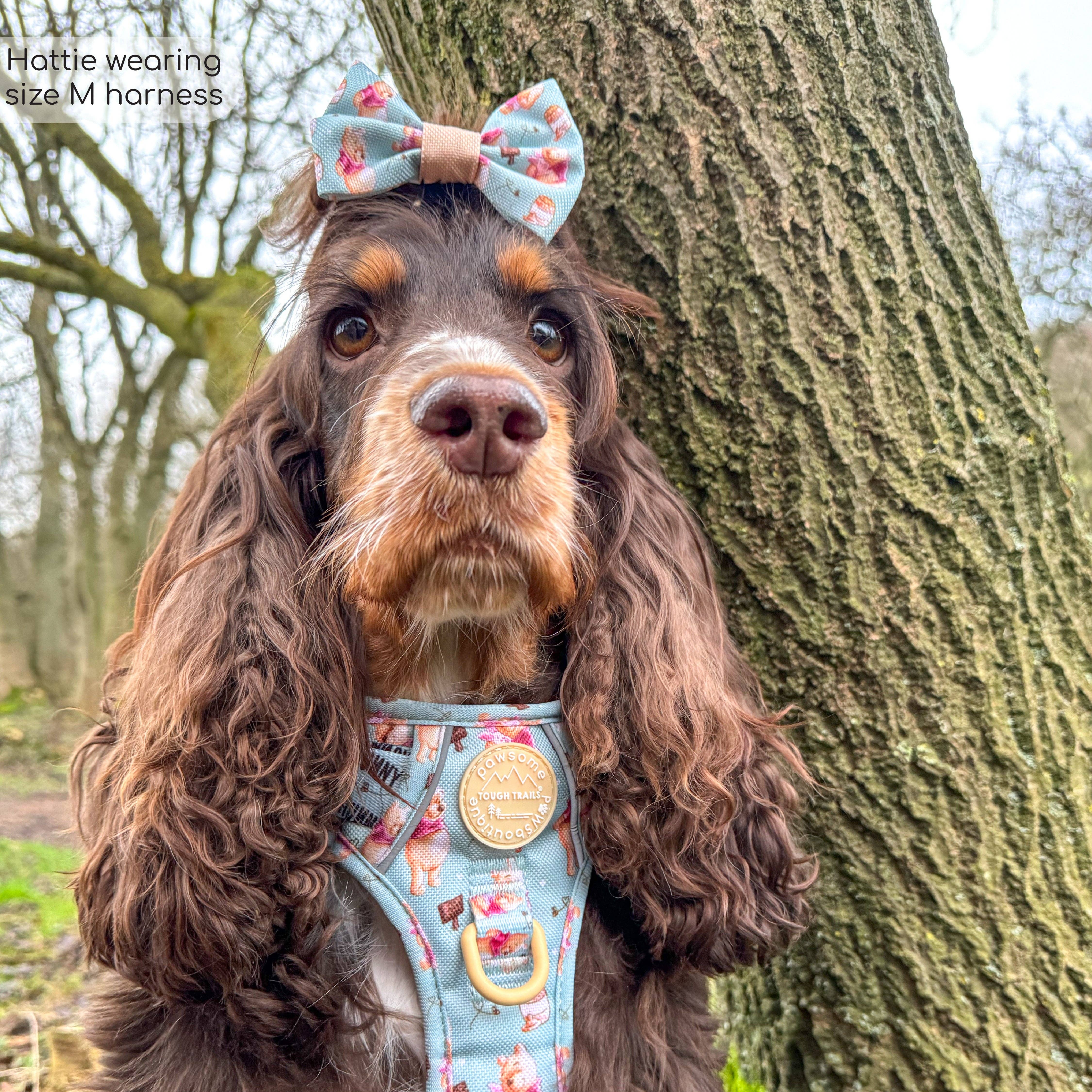 Pawsome Paws – Großhandel Haustiergeschirr – Hund – Disney© Tough Trails™ Geschirr – Winnie Puuh44