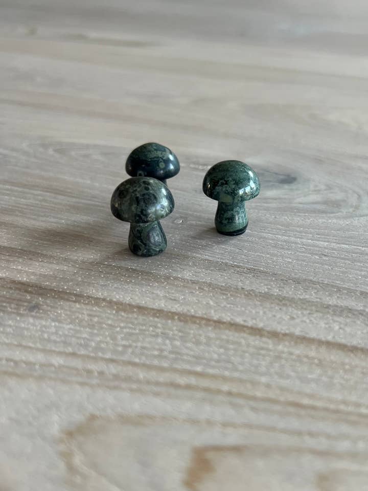 Kambaba Mini Svamp for engroshandel hos Luna Rae