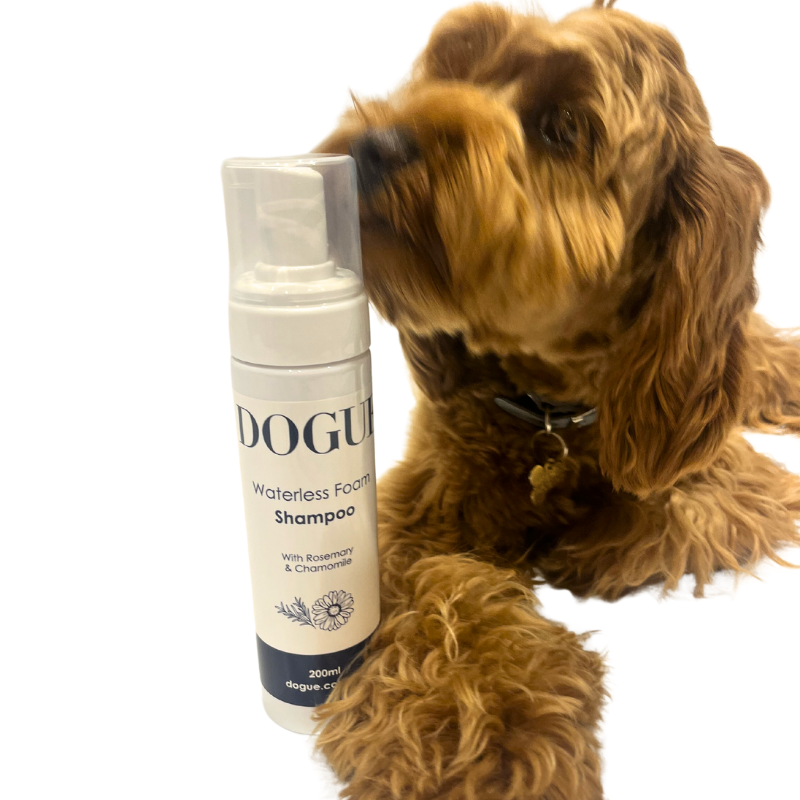 DOGUE - Wholesale Pet Shampoo - Dog - DOGUE Waterless Foam Dog Shampoo1