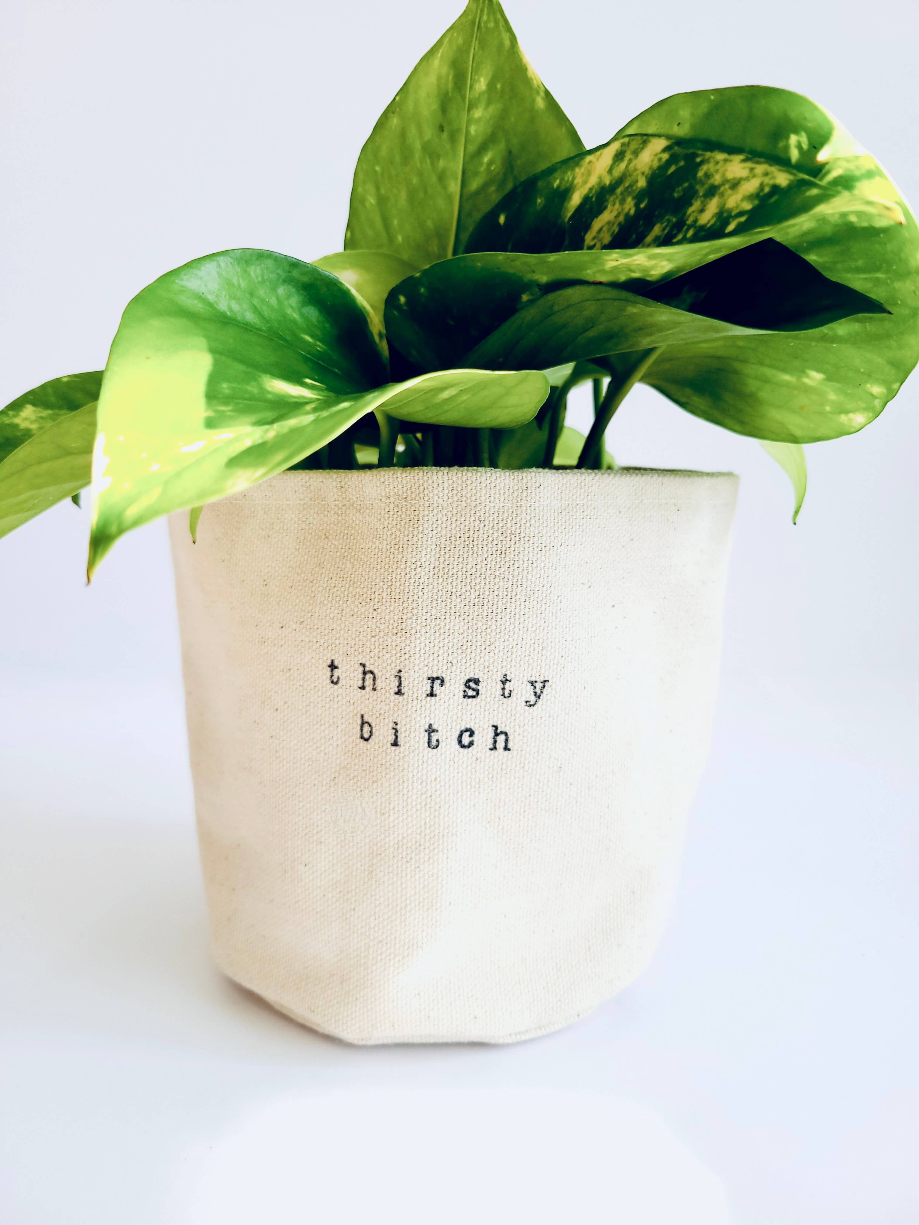 Leaf and Root Co. – Engroshandel Plantekrukke – Thirsty Bitch lærred plantepottebetræk2