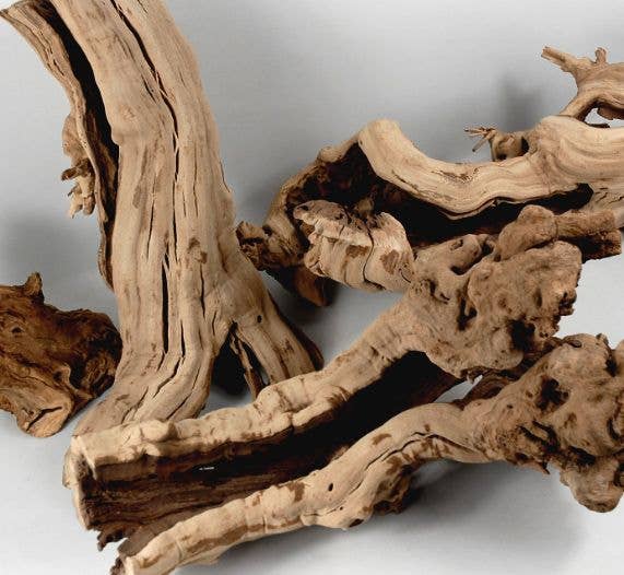 Forever Green Art – Großhandel Tischdeko – Geschliffener Traubenholz-Stamm1