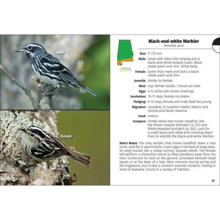 AdventureKEEN - Wholesale Nature Guide - Birds of Alabama Field Guide 2e