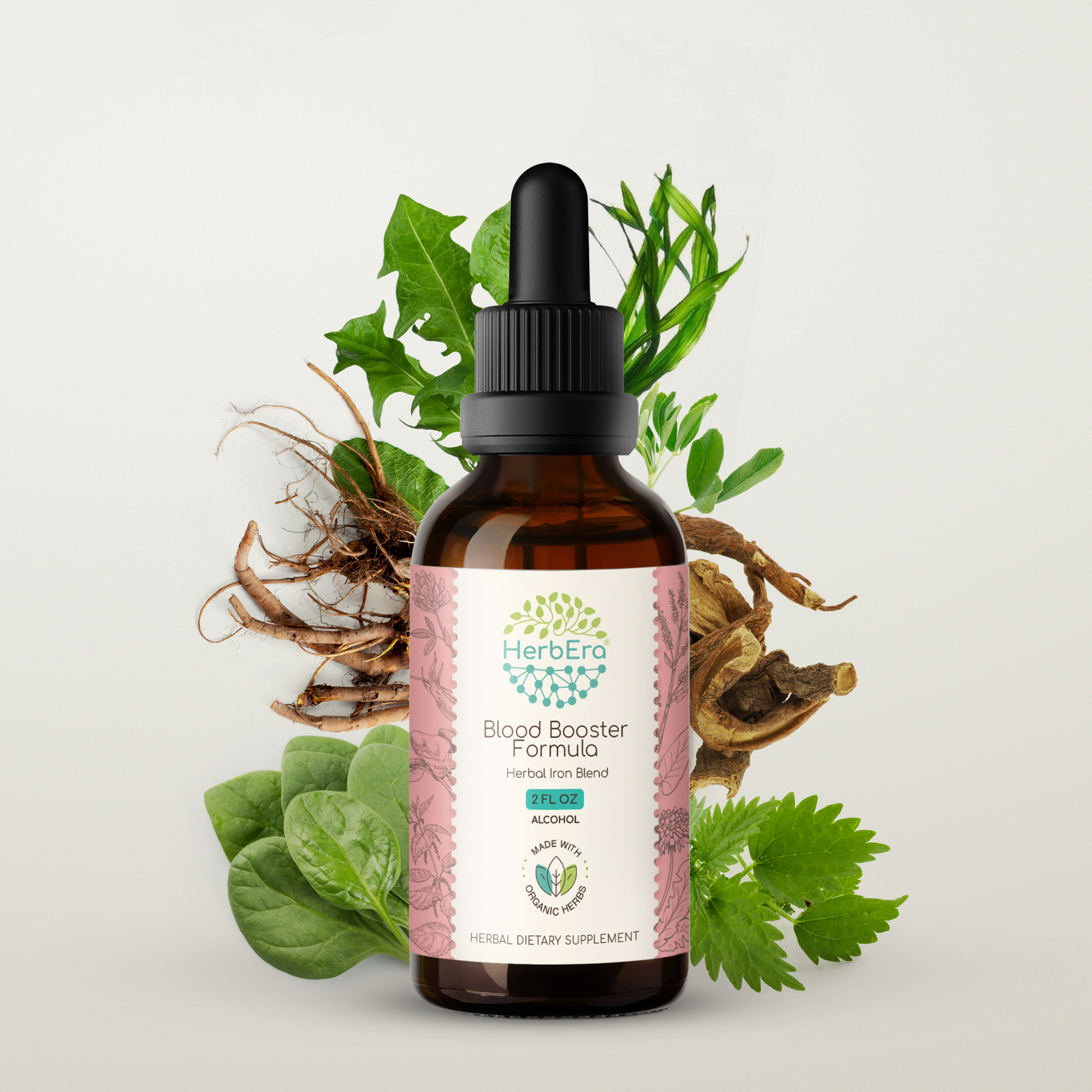 HerbEra - Venta al por mayor Tinturas - Tintura de Fórmula Potenciadora de Sangre12