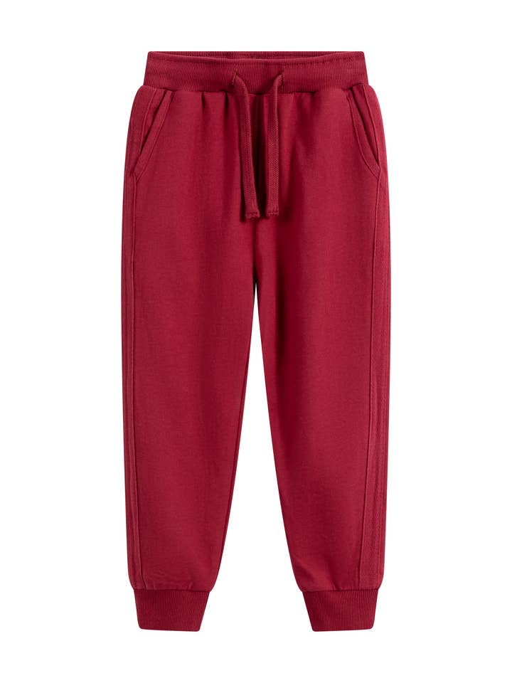 Basic Casual Maroon Pants for wholesale by Newness Kids