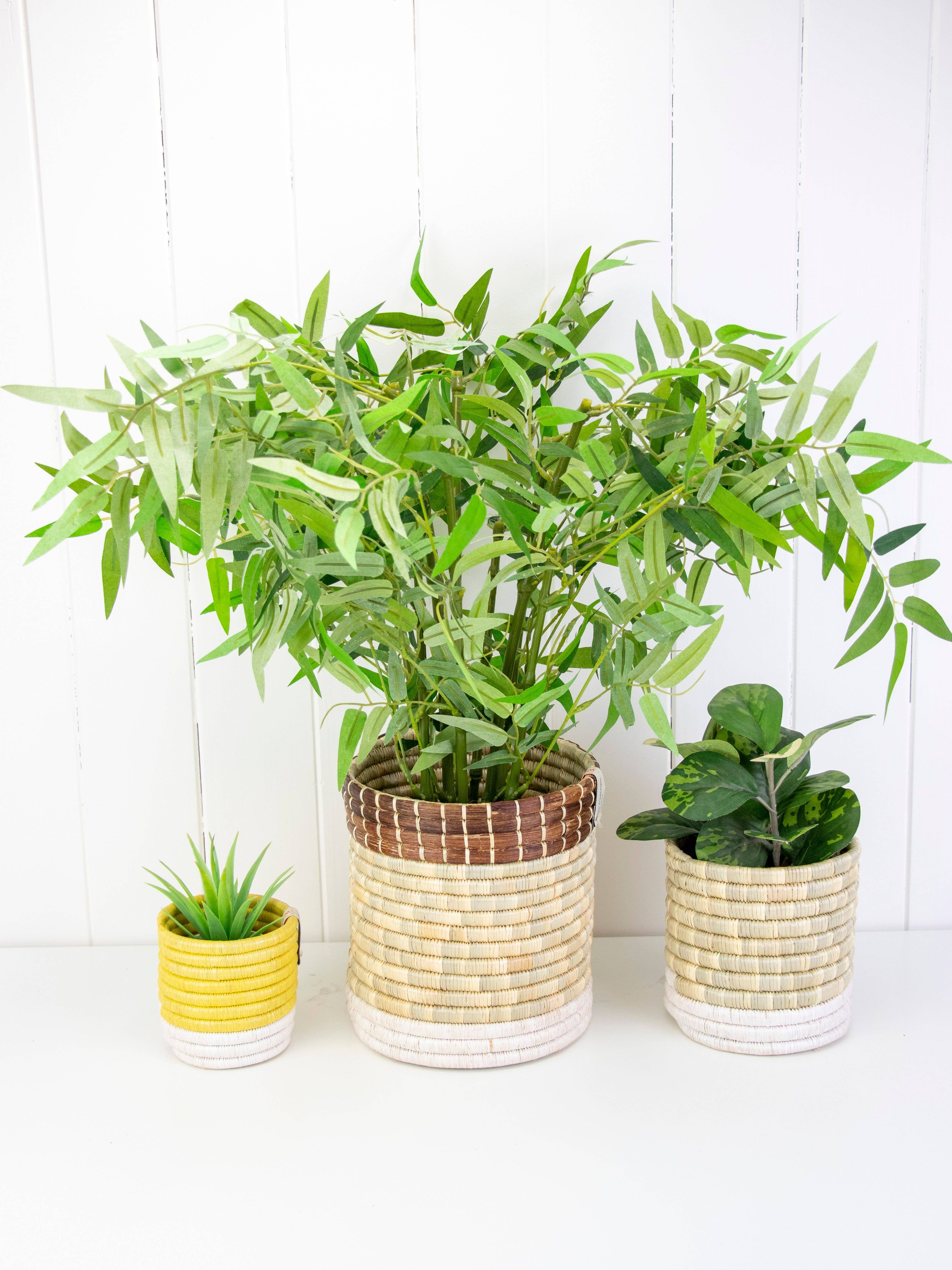 WomenCraft - Wholesale Basket - Katakuru Storage Basket & Planter | Colour Block Design | UY3
